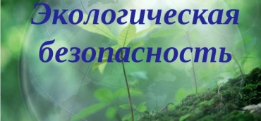 Экологическая безопасность в России вышла на новый уровень